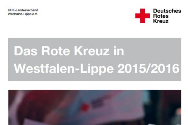 Jahresbericht